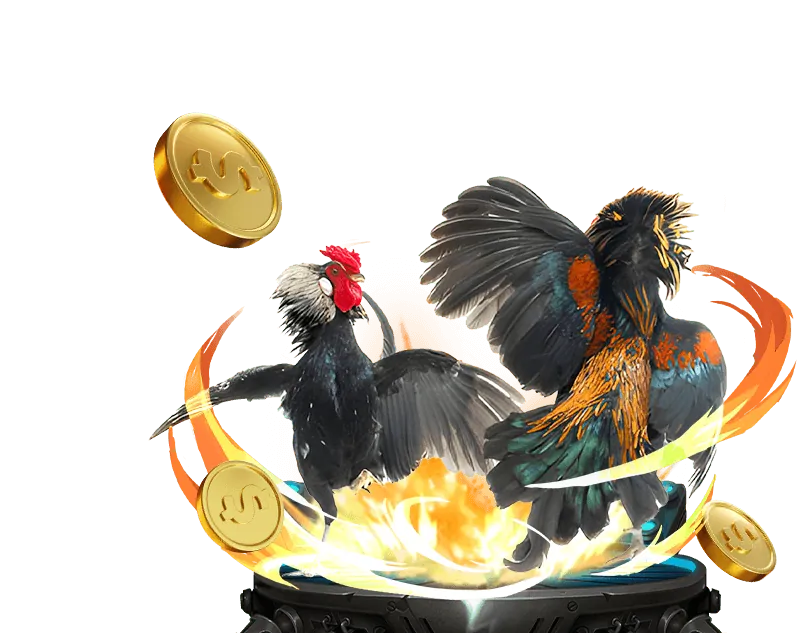 Giao diện nền tảng cá cược đá gà trực tuyến